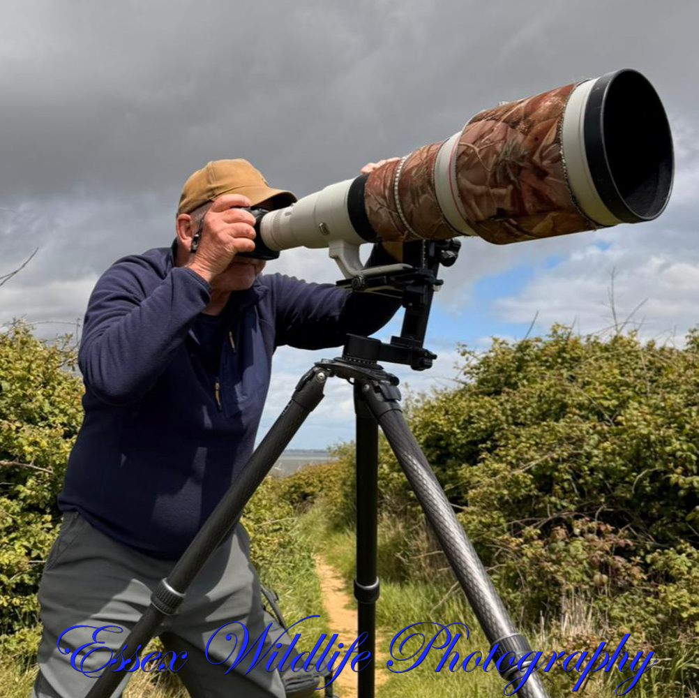 Sxwildlifephoto