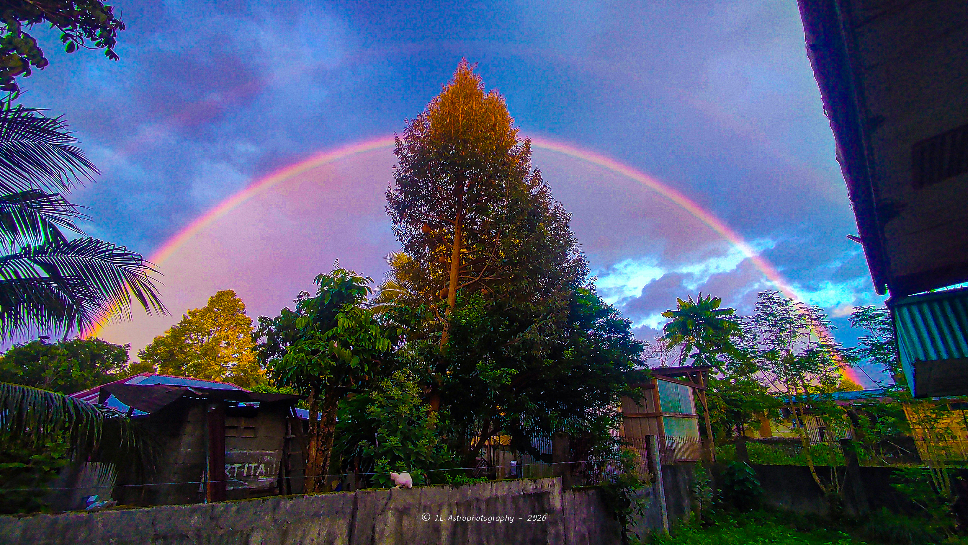 The beauty after a rainstorm